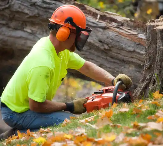 tree services Glen Head